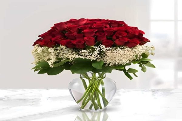 50 red roses, premium